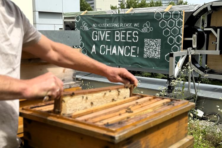 ARCOTEL Hotels | Wien | 5