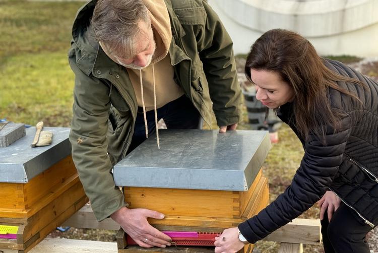 ARCOTEL Hotels | Wien | 2