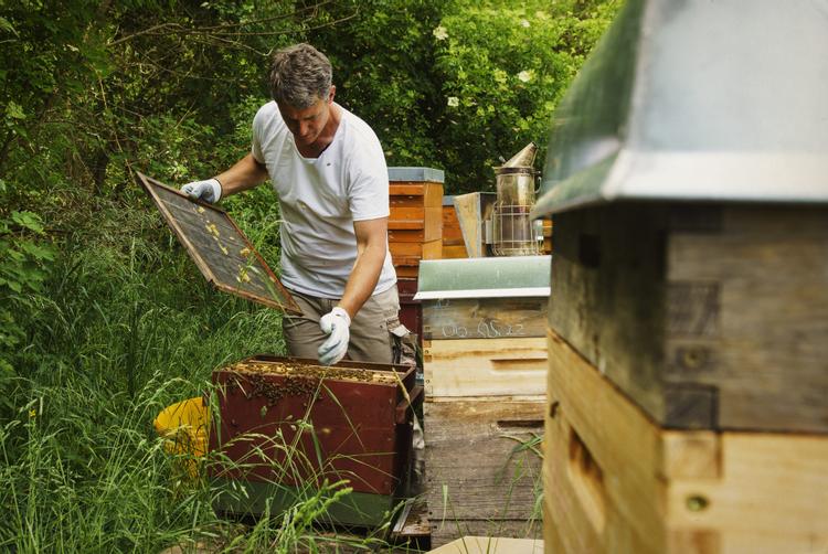 ARCOTEL Hotels | Wien | 2