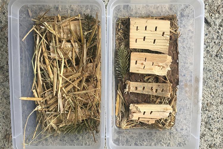 ARCOTEL Hotels | Wien | 7