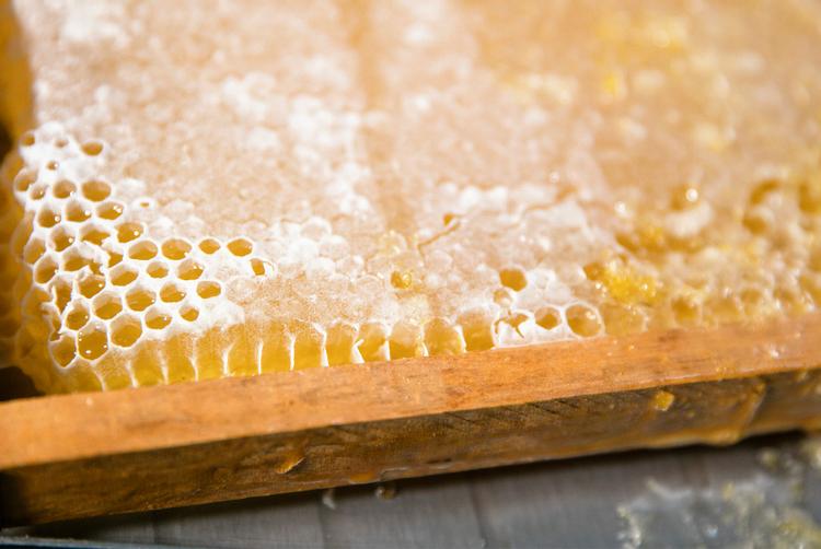 ARCOTEL Hotels | Vienna | 5