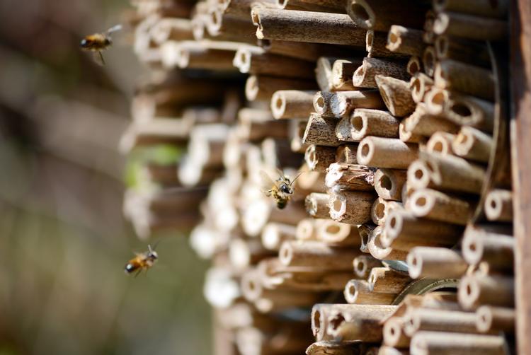 ARCOTEL Hotels | Vienna | 9