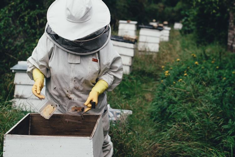 ARCOTEL Hotels | Wien | 5