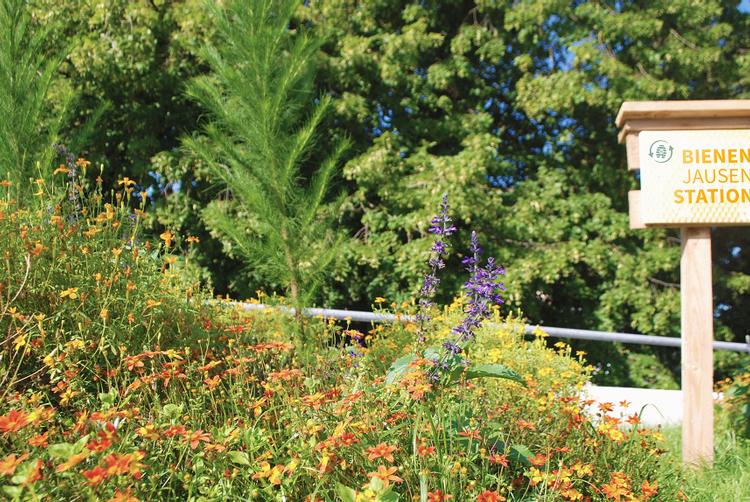 ARCOTEL Hotels | Vienna | 7