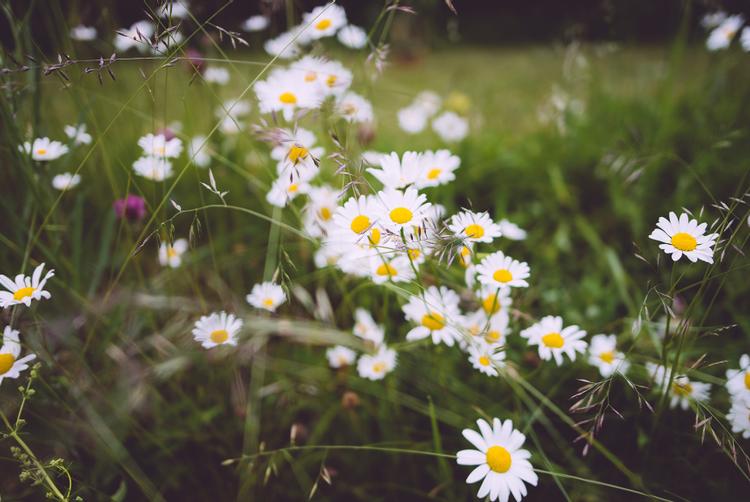 ARCOTEL Hotels | Vienna | 4