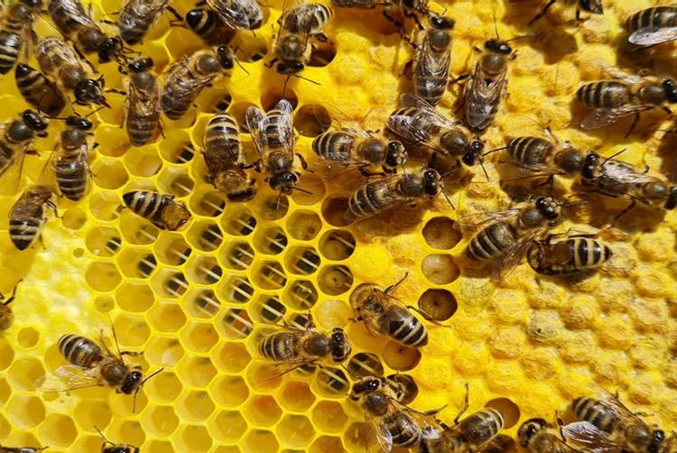 ARCOTEL Hotels | Vienna | 1